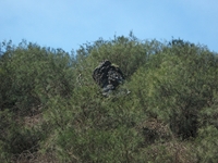 anobello-01042012 160